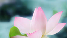 “羲和走驭趁年光”下一句是什么 - 不许人间日月长 - 找诗词 - 查字典诗词网